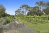 44 Roseneath Road, Warncoort, Vic 3243-Image