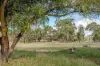 44 Scottsburn Road, Echunga, SA 5153-Image