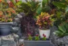 44 Stanley Drive, Cannon Valley, Qld 4800-Image