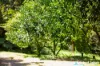 44 Stewart Court, Doonan, Qld 4562-Image