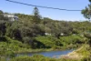 44 Surf Road, North Curl Curl, NSW 2099-Image