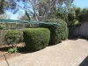 44 Taylor Street, Modbury Heights, SA 5092-Image