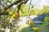 44 Tingira Road, Blackmans Bay, Tas 7052-Image