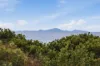 44 Tomahawk Drive, Tomahawk, Tas 7262-Image