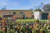 44 Tomahawk Drive, Tomahawk, Tas 7262-Image