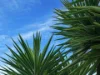 44 Watergum Crescent, Ningi, Qld 4511-Image