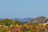 44 Waterview Drive, Lammermoor, Qld 4703-Image