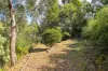 44 Willowbend Road, Kingston, Tas 7050-Image