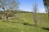 440 Bambra-Boonah Road, Bambra, Vic 3241-Image