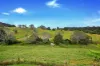 440 Coles Creek Rd, Cooran, Qld 4569-Image