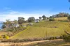 441 Tinderbox Road, Tinderbox, Tas 7054-Image