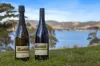 441 Tinderbox Road, Tinderbox, Tas 7054-Image