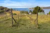 441 Tinderbox Road, Tinderbox, Tas 7054-Image