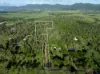 442 Sugarloaf Road, Riordanvale, Qld 4800-Image