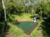 442 Sugarloaf Road, Riordanvale, Qld 4800-Image