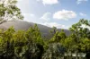 442 Sugarloaf Road, Riordanvale, Qld 4800-Image