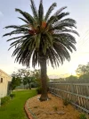 443 Maher St, Deniliquin, NSW 2710-Image