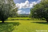 445 Miallo Bamboo Creek Road, Whyanbeel, Qld 4873-Image