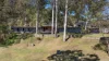 446B Burrier Road, Barringella, NSW 2540-Image