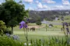 447 Buninyong - Mount Mercer Road, Durham Lead, Vic 3352-Image