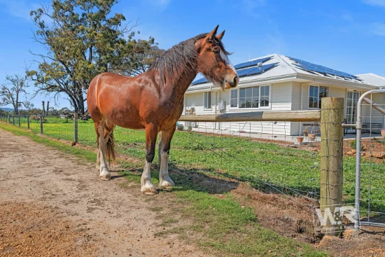 447 Crockerup Road, Mount Barker, WA 6324