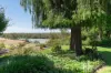 448 Riverview Drive, Berri, SA 5343-Image