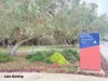 449 Karrinyup Road, Innaloo, WA 6018-Image