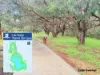 449 Karrinyup Road, Innaloo, WA 6018-Image