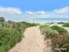 449 Karrinyup Road, Innaloo, WA 6018-Image