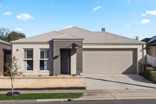 44A Harvey Avenue, Netley, SA 5037