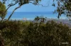 44A Hawker Avenue, Belair, SA 5052-Image