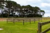 45 & 65 Morrison Avenue, Loorana, Tas 7256-Image