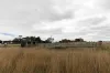 45 & 65 Morrison Avenue, Loorana, Tas 7256-Image