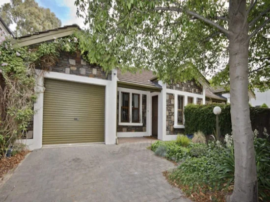 45 Albert Street, Goodwood, SA 5034