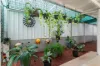 45 Bayview Street, Bayview Heights, Qld 4868-Image