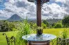 45 Beechtree Road, Black Mountain, Qld 4563