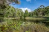 45 Beechtree Road, Black Mountain, Qld 4563-Image