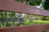45 Beechtree Road, Black Mountain, Qld 4563-Image
