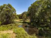 45 Benloro Lane, Myocum, NSW 2481-Image