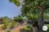 45 Box Street, Merbein, Vic 3505-Image