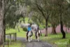 45 Broad Acres Road, Panton Hill, Vic 3759-Image