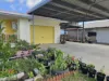 45 Chippendale Street, Ayr, Qld 4807-Image