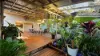 45 Clarence Street, Grafton, NSW 2460-Image