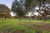 45 Clarinda Road, Essendon, Vic 3040-Image