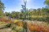 45 Corella Way, Walligan, Qld 4655-Image