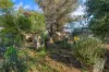 45 Edith Terrace, Balaklava SA 5461-Image