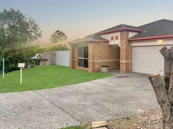 45 Feathertop Crescent, Pacific Pines, Qld 4211