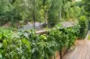 45 Gordon Drive, Upper Coomera, Qld 4209-Image