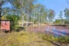 45 Hamanns Road, Apple Tree Creek, Qld 4660-Image
