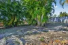 45 Hamilton Drive, Craignish, Qld 4655-Image